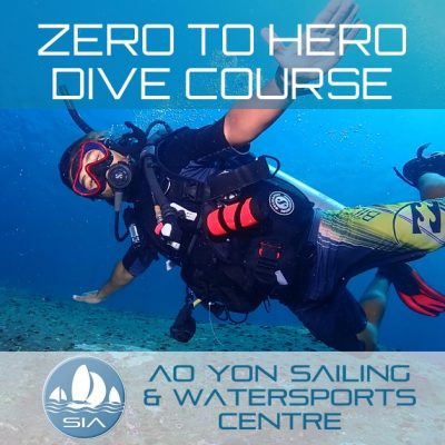 Zero to Hero Dive Course